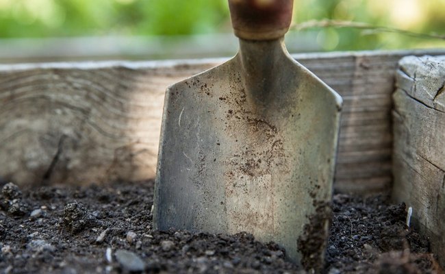 Spaten in Boden