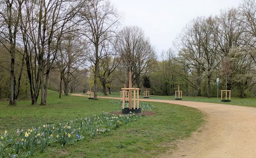 Spazierweg in Grünfläche mit neuen Bäumen und Blumen