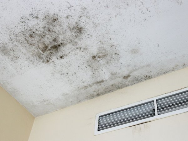 Eine Wanddecke mit Schimmelbefall