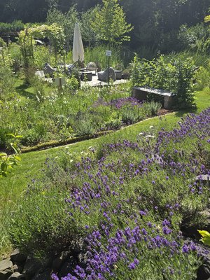 Artenreicher Garten mit Steinen als Sitzgelegenheiten im Hintergrund