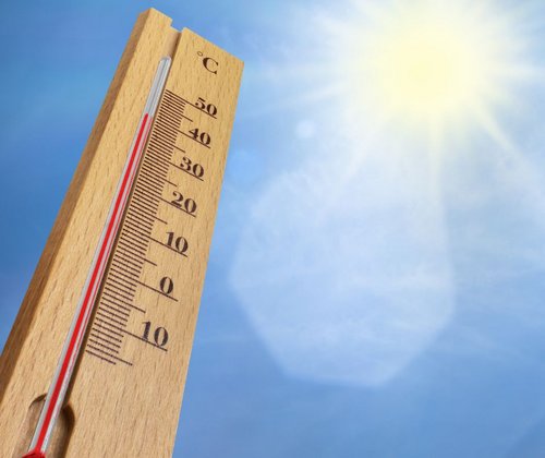 Thermometer 