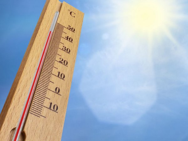 Thermometer 
