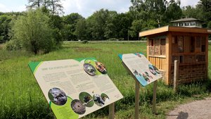Sie sehen den Wildbienenlehrstand mit Wildbienenhotel im Poensgenpark.