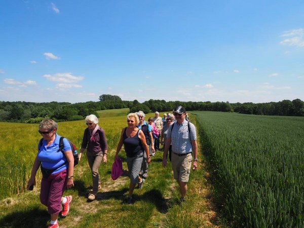 Gruppe wandert durch grüne Wiesenlandschaft
