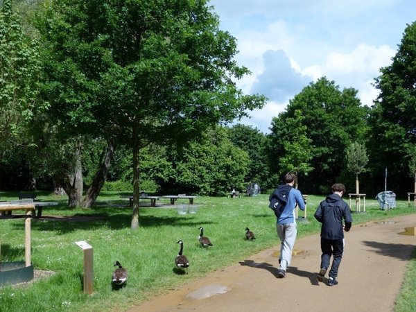 Grüne Wiese entlang eines Weges