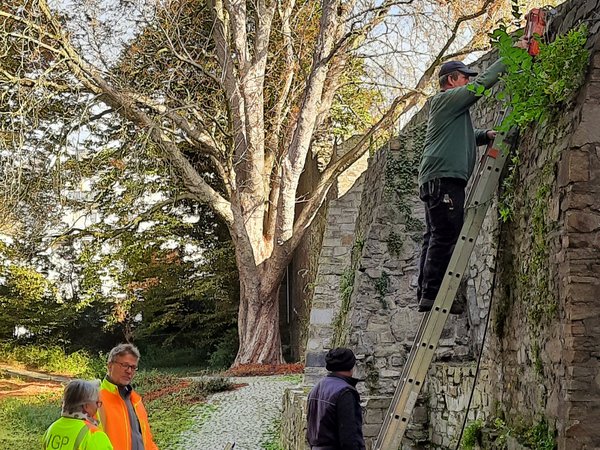 Mehrere Personen vor der Stadtmauer