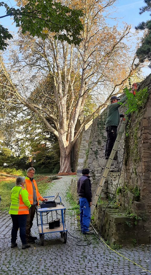 Mehrere Personen vor der Stadtmauer