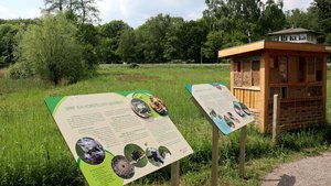 Sie sehen den Wildbienenlehrstand mit Wildbienenhotel im Poensgenpark.