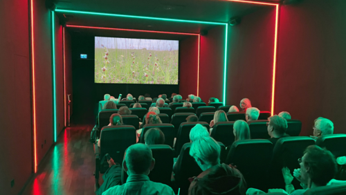 Voll besetzter Kinosaal mit Blick auf die Leinwand