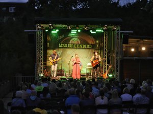 Mrs. Greenbird und zwei Musiker auf der beleuchteten Bühne