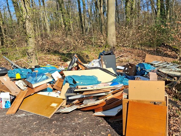 wilde Müllkippe im Wald