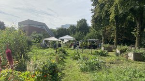 Sommerfest im Gemeinschaftsgarten in Ratingen West _Gartengelände mit weißen Pavillons und Menschen