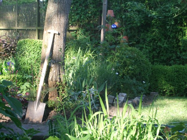 Ein Spaten steht an einem Baum in einem Garten