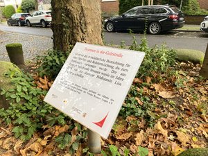 Das Foto zeigt eine Nahaufnahme von einer Informationstafel über Brunnen in der Grütstraße.