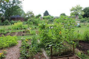 Gemeinschaftsgarten InWest