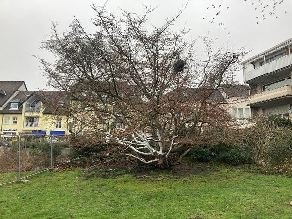 Mehrgenerationenpark in Ratingen