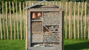 Sie sehen ein Wildbienenhotel.