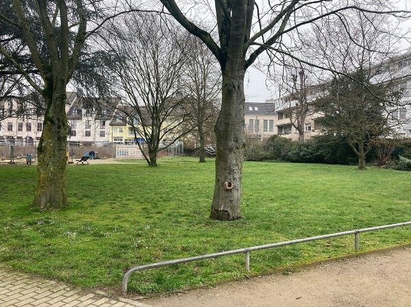 Das Foto zeigt das Gelände des Mehrgenerationenparks in Ratingen.