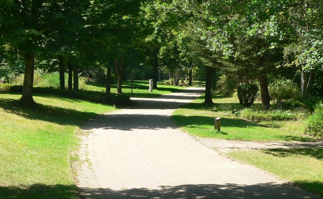 Impression des Waldfriedhofes