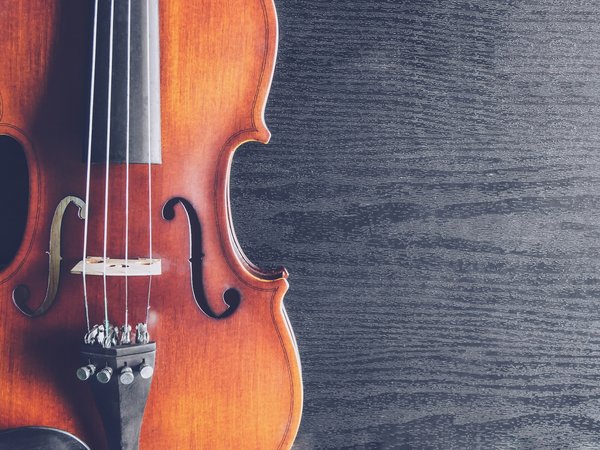 eine Violine