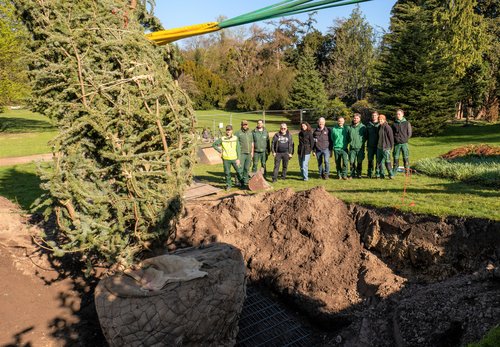 Ein liegender Baum vor einer Pflanzgrube, dahinter mehrere Personen