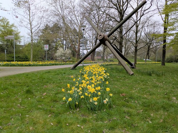 viele Narzissen auf Wiese mit Kunstwerk