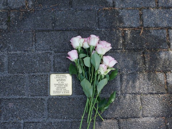 Neben dem Stolperstein liegt ein Strauß Rosen  