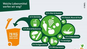 Grafik zu Lebensmittelabafällen mit der Überschrift "Welche Lebensmittel werfen wir weg?" 78kg pro Kopf pro Jahr aufgteilt in 12% Getränke, 35% Obst und Gemüse, 4% Fleisch, Wurst und Fisch, 15% Zubereitetes, 7% Sonstiges, 9% Milchprodukte, 6% Fertigprodukte, 13% Brot und Backwaren