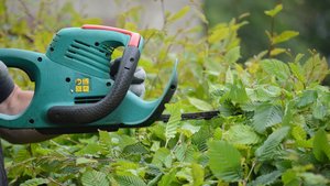 Es wird eine Hecke geschnitten.