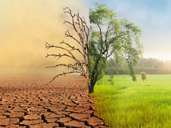 Symbolbild Klimawandel    