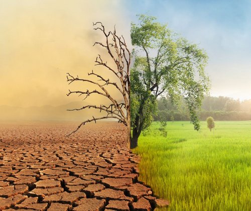 Symbolbild Klimawandel    