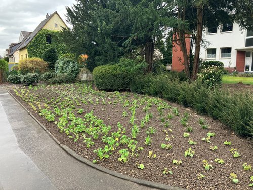 Grünfläche um den Gedenkstein Le Quesnoy 