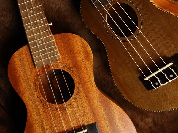 2 Gitarren nebeneinander