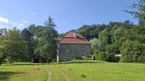 Haus inmitten von Grün 