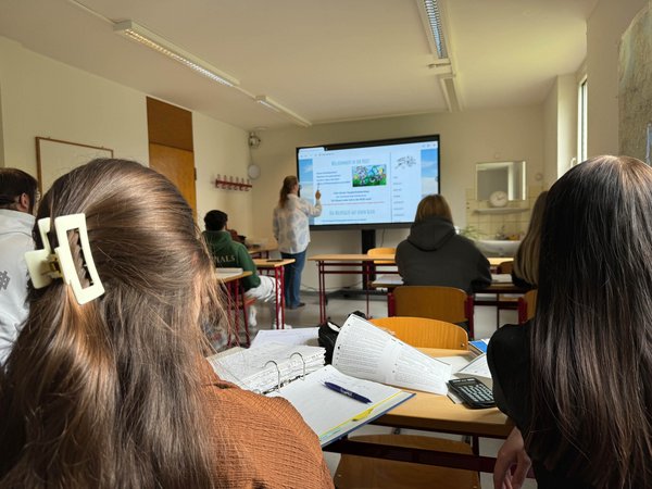 Mehrere Schüler in einer Klasse beim Unterrichte