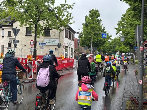 Mehrere Radfahrer auf einer Straße