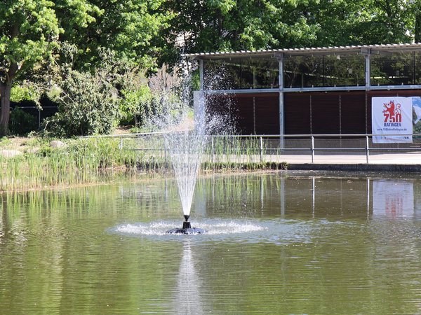 Wasserfontäne spritzt aus einem Teich