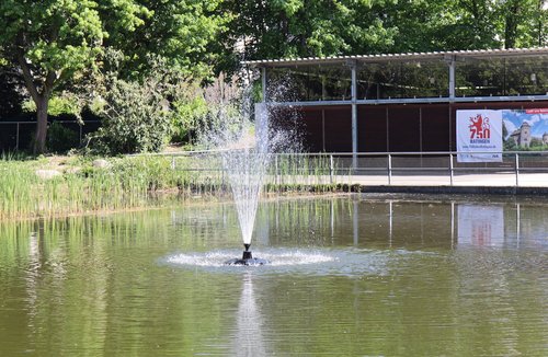 Wasserfontäne spritzt aus einem Teich