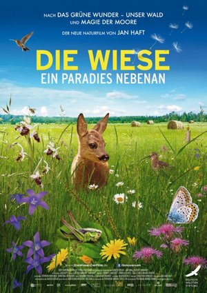 Filmplakat "Die Wiese - Ein Paradies nebenan" mit Rehkiz auf einer bunt blühenden Wiese mit Schmetterlingen und blauem Himmel