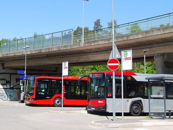 Zwei Busse stehen an Haltestellen unter einer Brücke