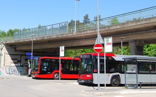 Zwei Busse stehen an Haltestellen unter einer Brücke