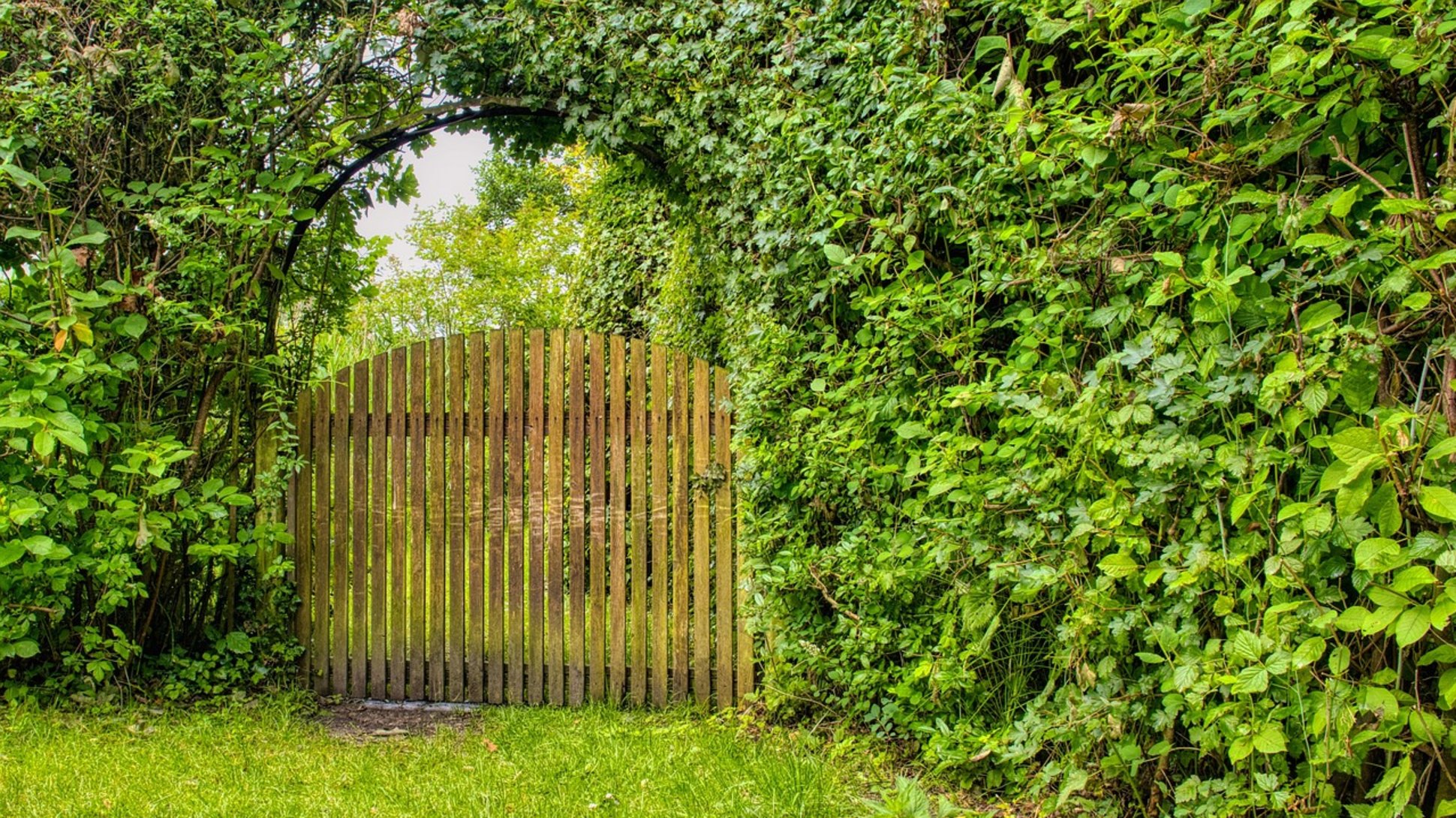 Sie sehen eine Hecke mit einem Gartentor.