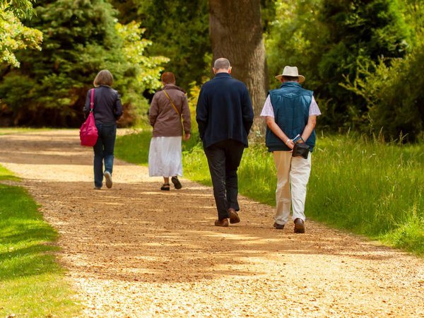 Vier Personen laufen auf einem Weg Richtung Wald