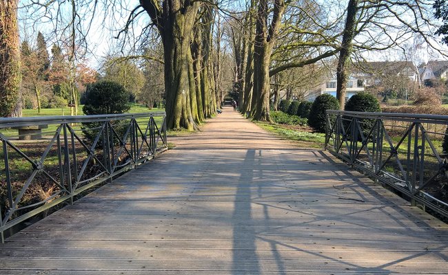 Kastanienallee im Poensgen Park