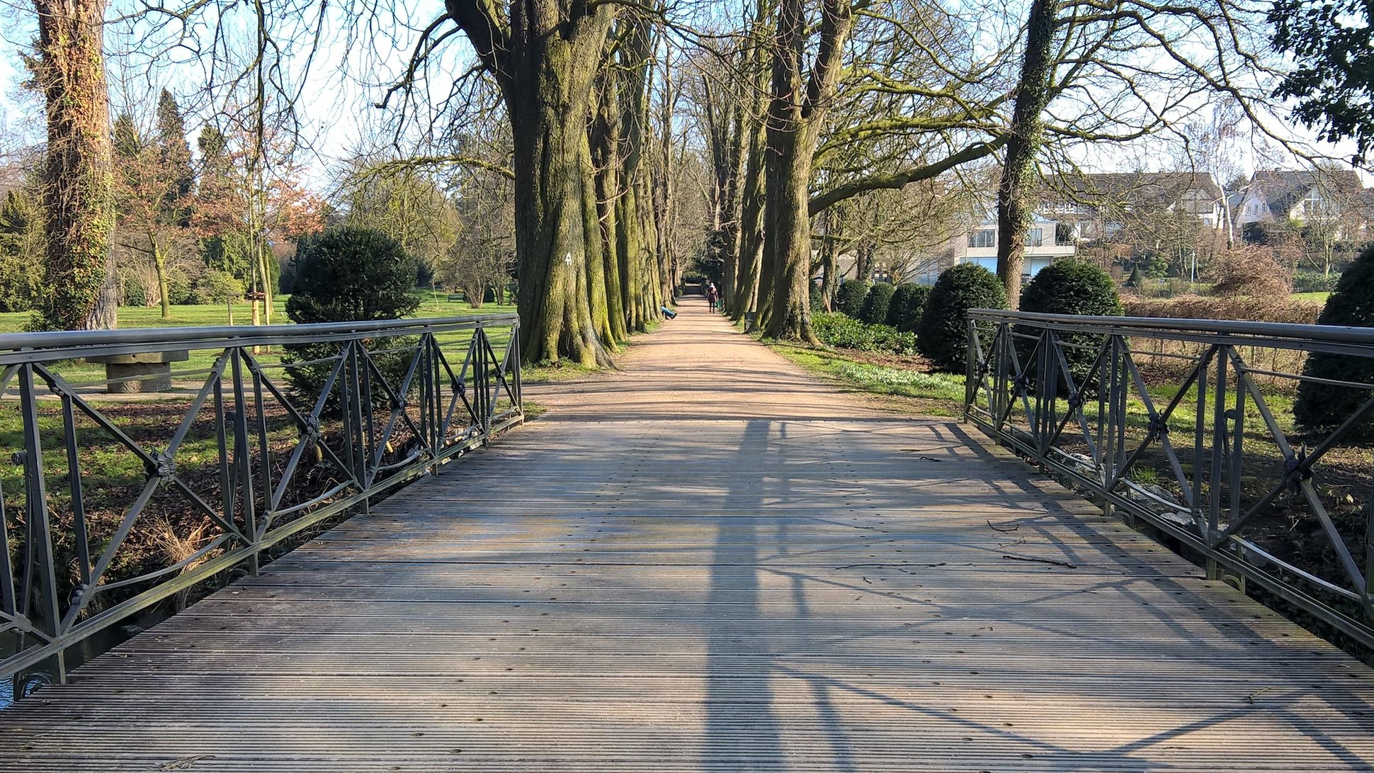 Kastanienallee im Poensgen Park