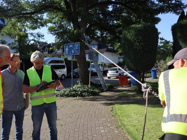 Ein Seil ist mit einem Baumstamm verbunden - ein Mann zieht am Seil, drei weitere schauen in Pläne.  